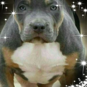 Meet your Posher, Raymond